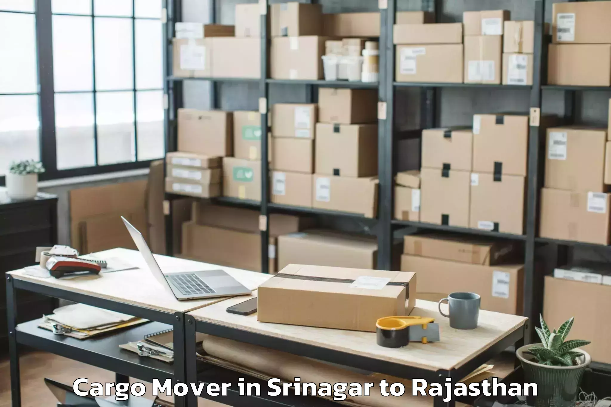 Affordable Srinagar to Ghatol Cargo Mover